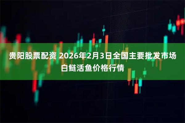 贵阳股票配资 2026年2月3日全国主要批发市场白鲢活鱼价格行情